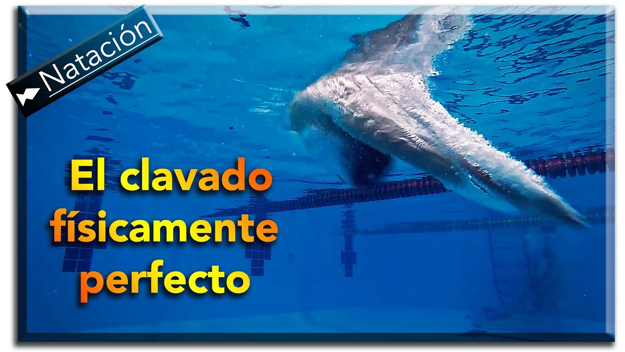 Como hacer un clavado perfecto :: Física de la Natación Parte 4 :: Salidas