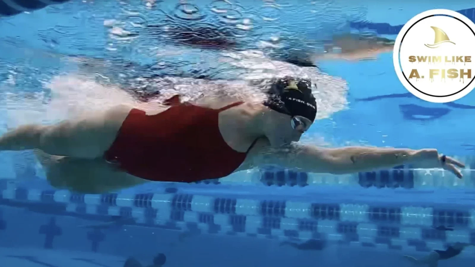 Ejercicio de recuperación en natación estilo libre: desbloquea mejores tiempos y longitud de brazada. ¿Qué pasaría si te dijera... ¿Qué es el ejercicio de recuperación en natación? ¿Por qué utilizar la técnica de estilo libre Catch-Up Drill? Cómo realizar el ejercicio de recuperación (cral delantero) Variaciones del ejercicio de recuperación estilo libre Vídeos de natación por grupo de edad Errores comunes durante el ejercicio de recuperación estilo libre El debate: ¿El ejercicio de recuperación le frena? Cómo agregar un ejercicio de recuperación al entrenamiento